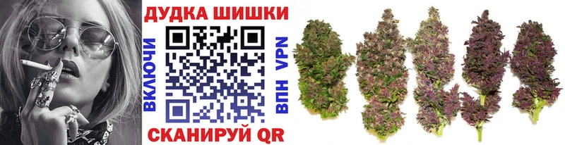 Купить закладки  Елизаветинская  Каннабис Ganja 